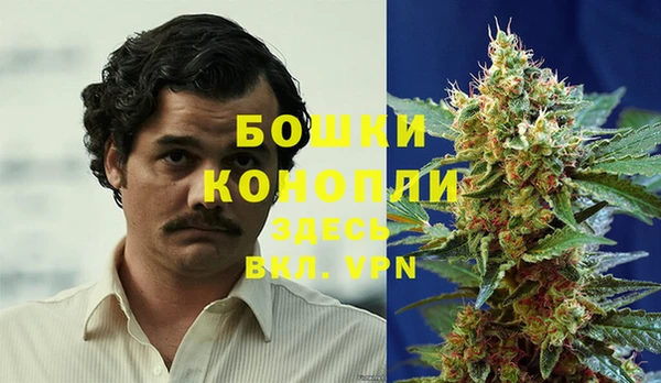 ГАЛЛЮЦИНОГЕННЫЕ ГРИБЫ Горнозаводск