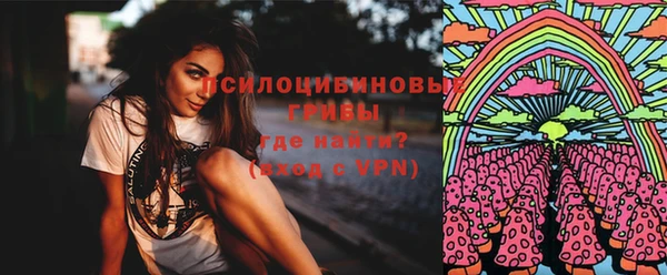 ГАЛЛЮЦИНОГЕННЫЕ ГРИБЫ Горнозаводск