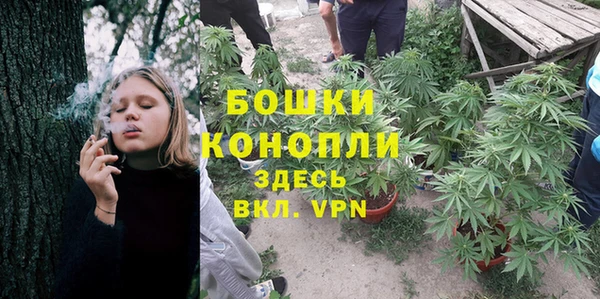 ГАЛЛЮЦИНОГЕННЫЕ ГРИБЫ Горнозаводск