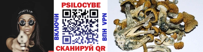 Купить  Нолинск  Галлюциногенные грибы ЛСД 