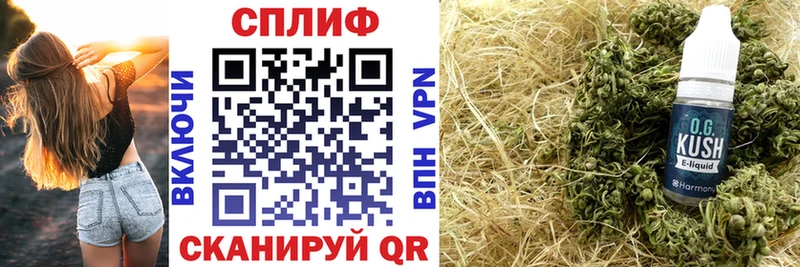 Бошки Шишки сатива  Купить закладки  Нолинск 